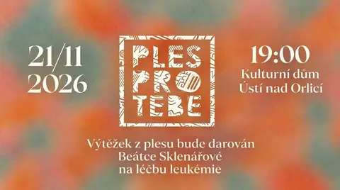 Plakát: Ples pro Tebe 2026