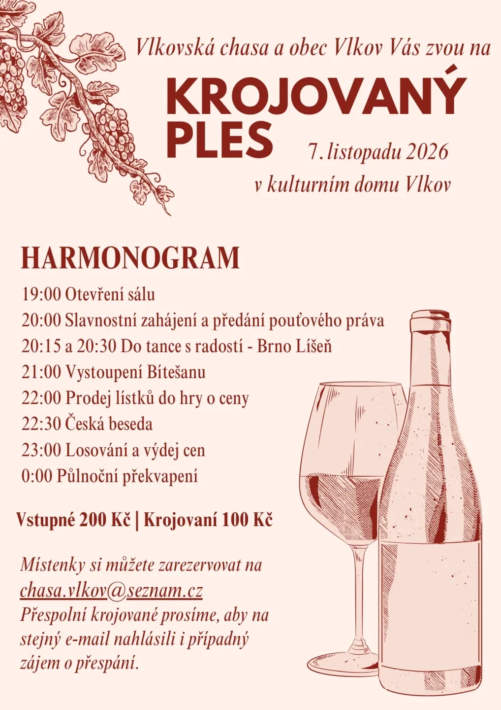 Plakát: Krojovaný ples