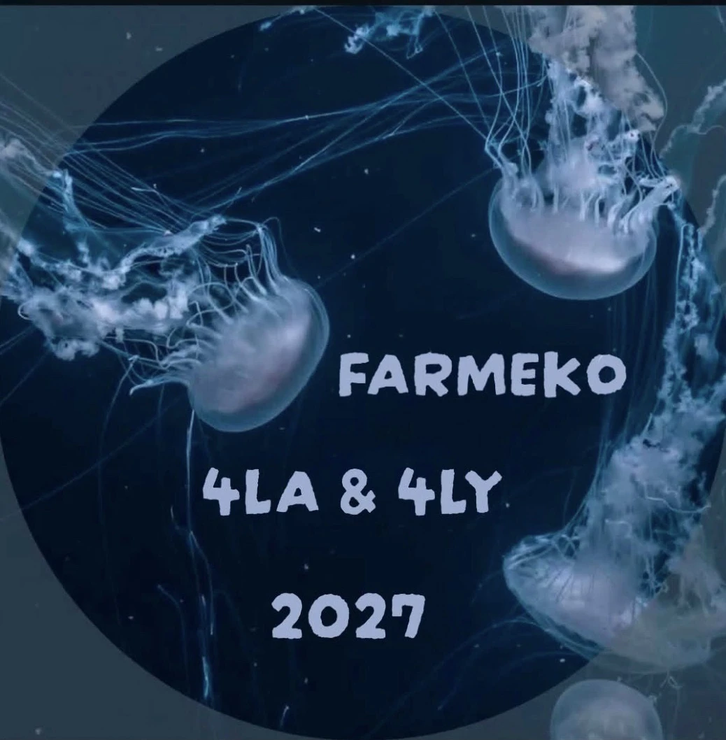 Plakát: Maturitní ples Farmeko 4LA & 4LY