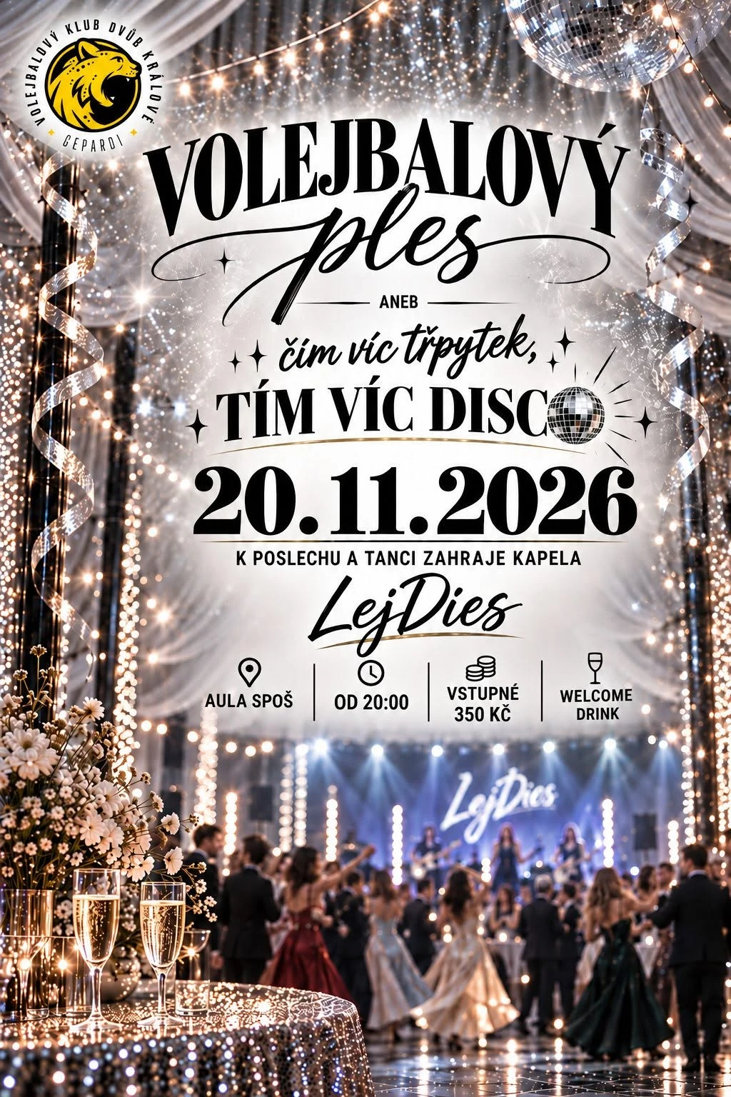 Plakát: Volejbalový ples