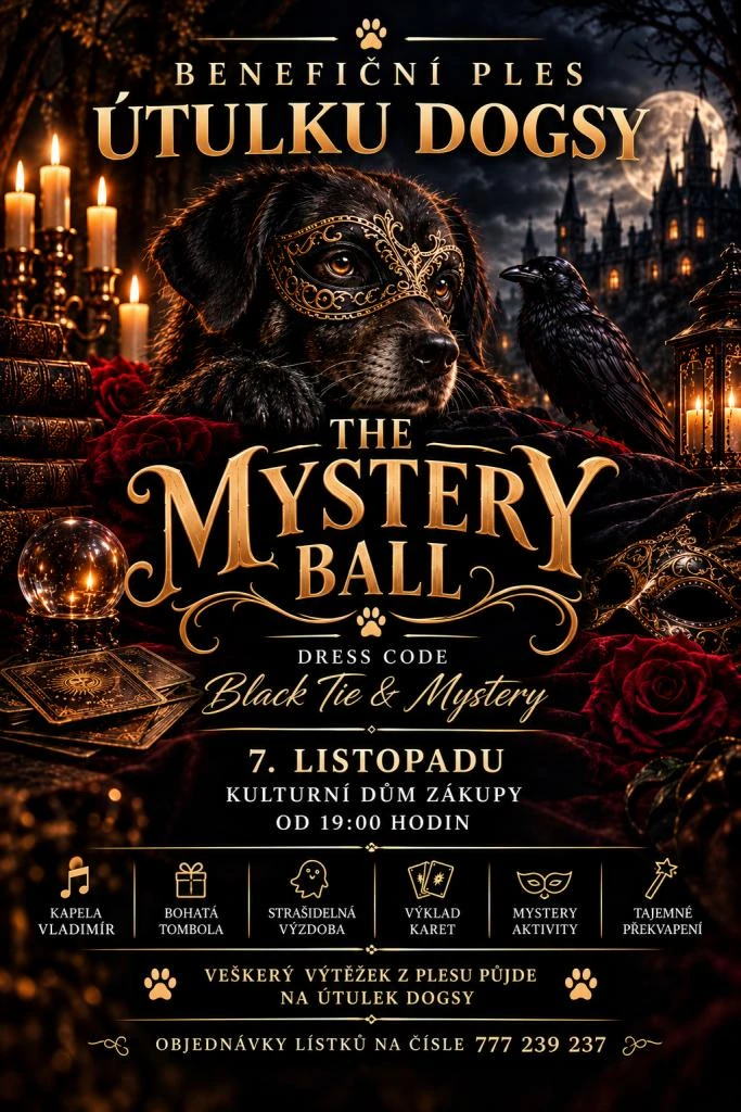 Plakát: Benefiční ples Útulku Dogsy